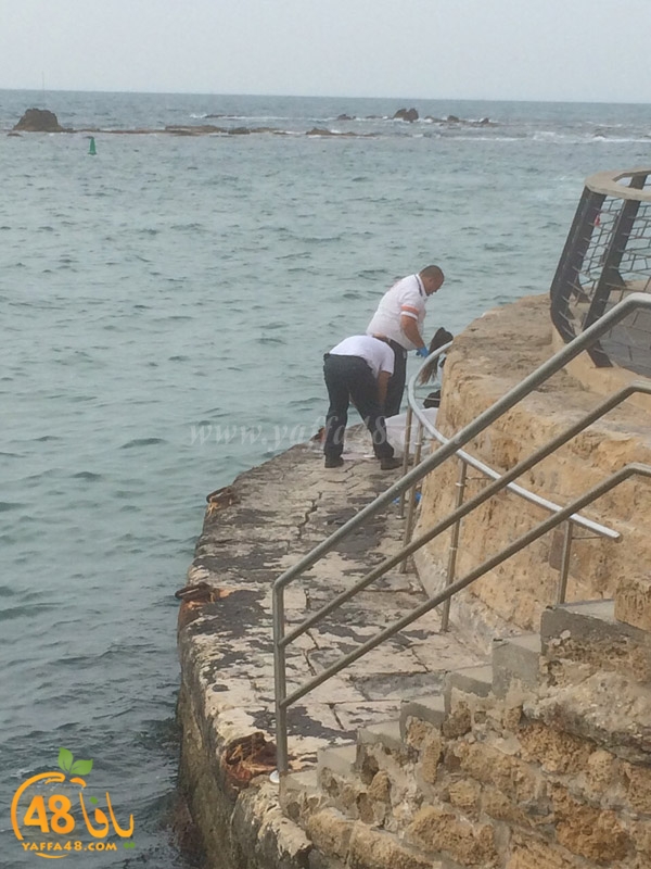 jothha mina2 yaffaj (2).JPG